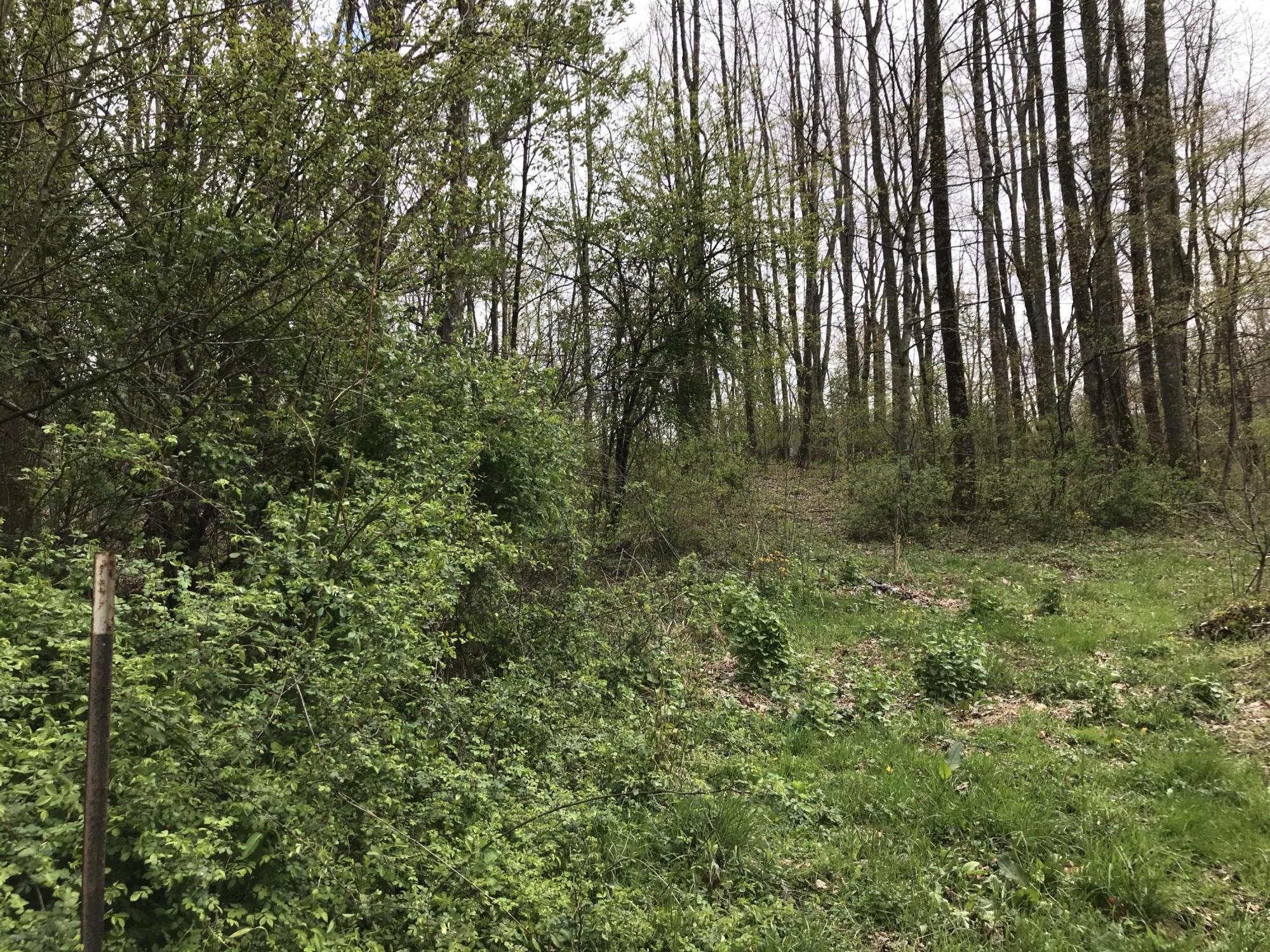 27300 Yellow Springs Road Meadowview, VA 24361 - Photo 5 of 22 D196D690-C09F-4A08-ACD9-7732DC0D2E29