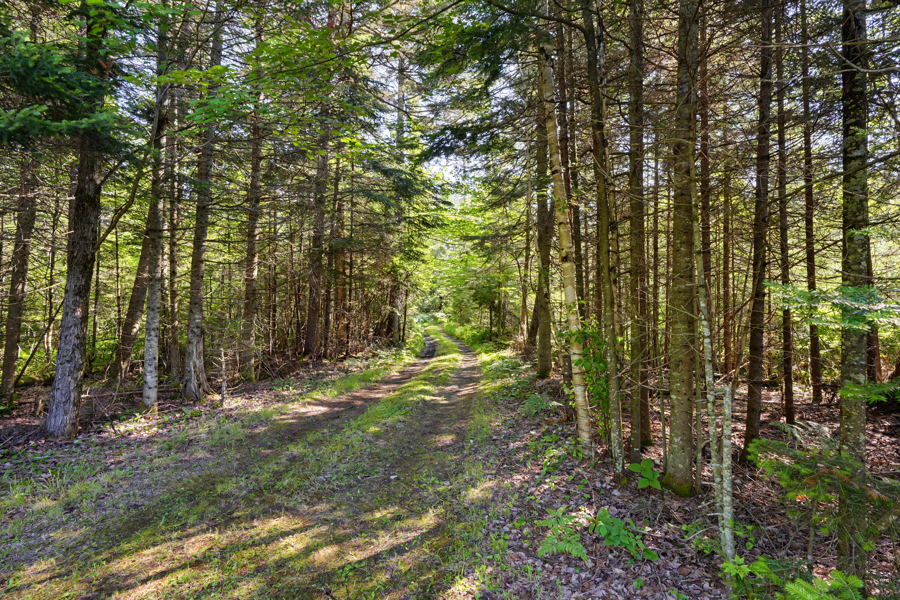84 Indian Lake Road Owls Head, NY 12969 - Photo 33 of 41