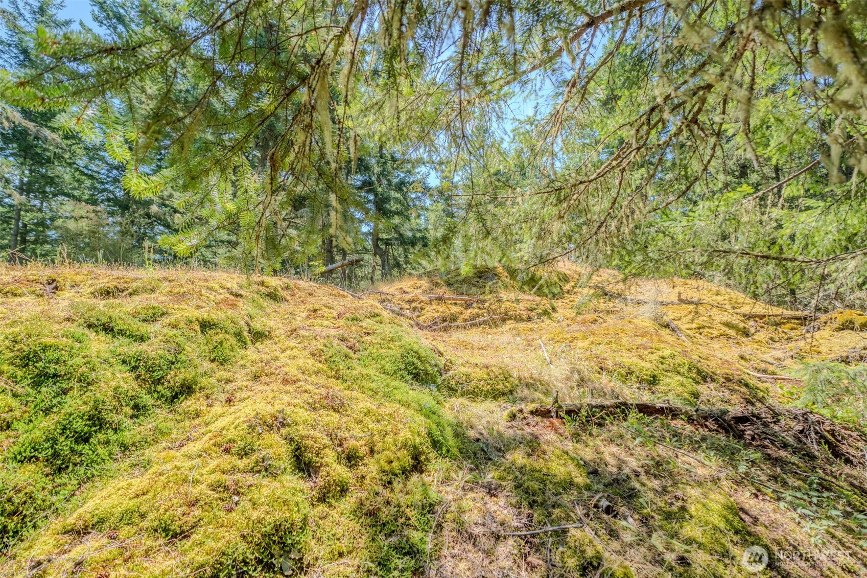 678 Swan Road Orcas Island, WA 98245 - Photo 18 of 39