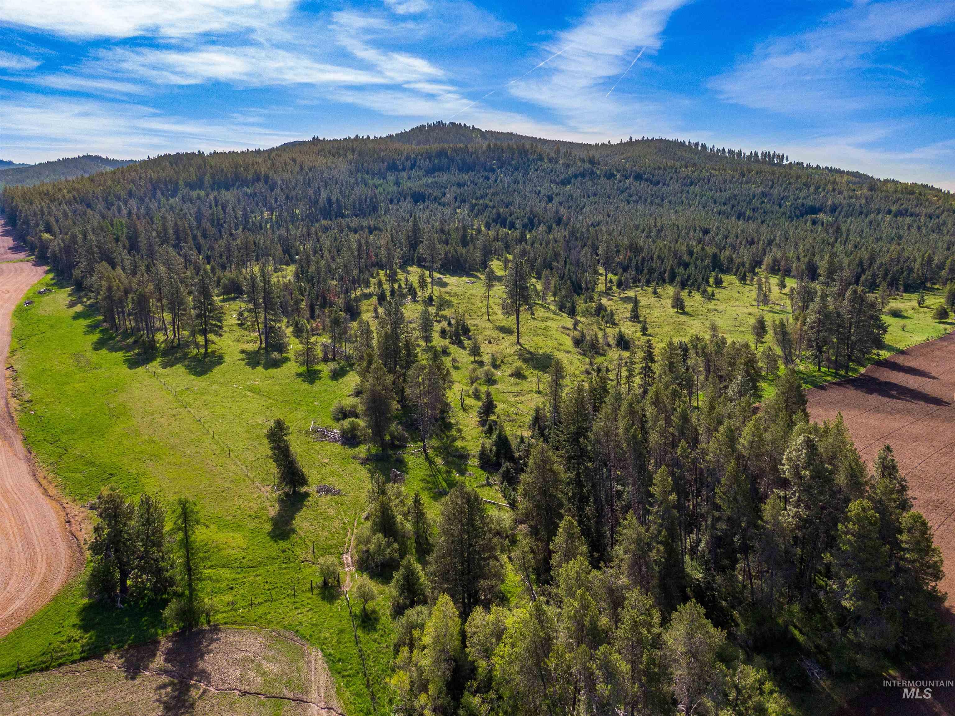 1101 Ruby Creek Road Harvard, ID 83834 - Photo 13 of 50