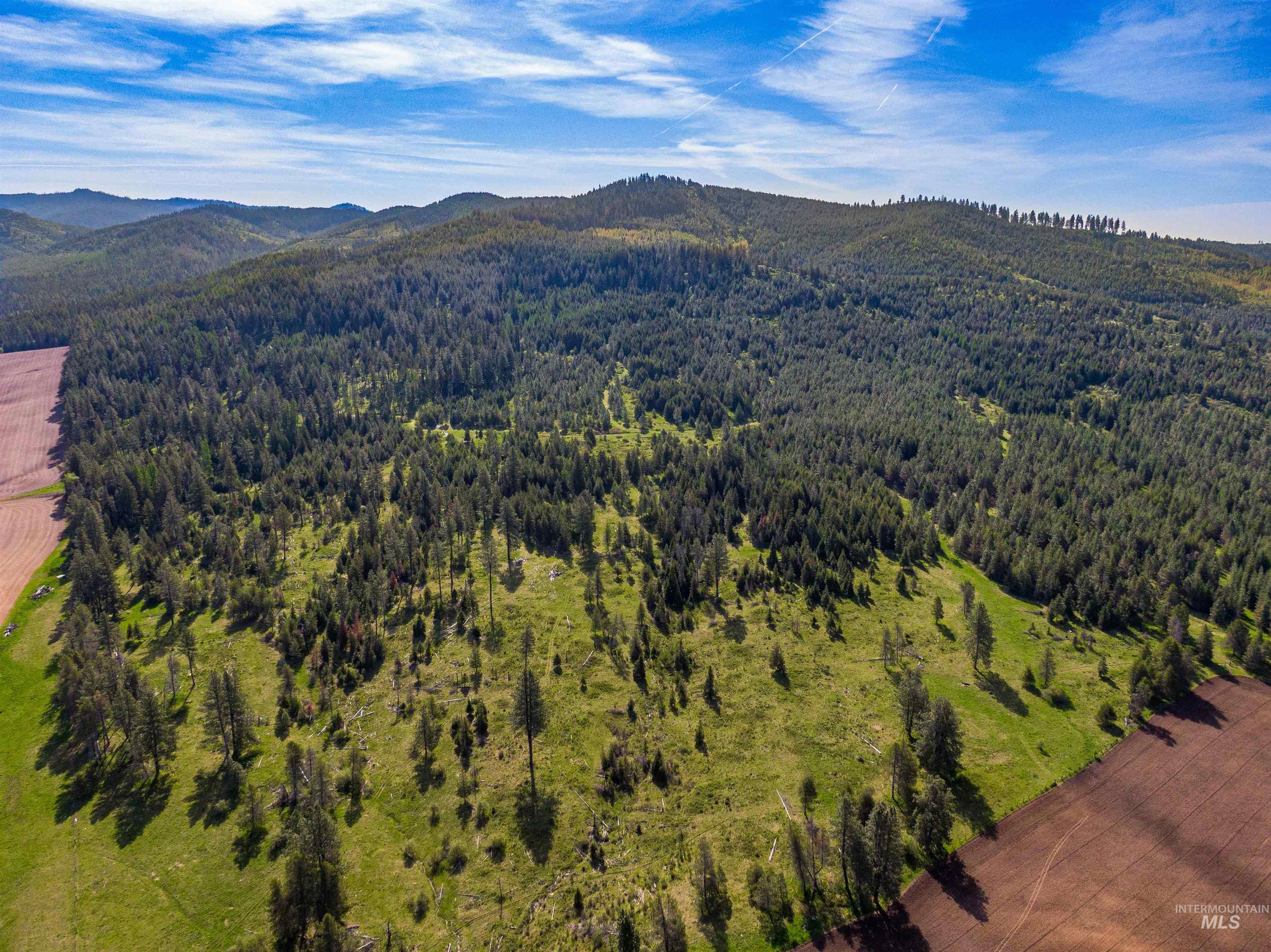 1101 Ruby Creek Road Harvard, ID 83834 - Photo 14 of 50