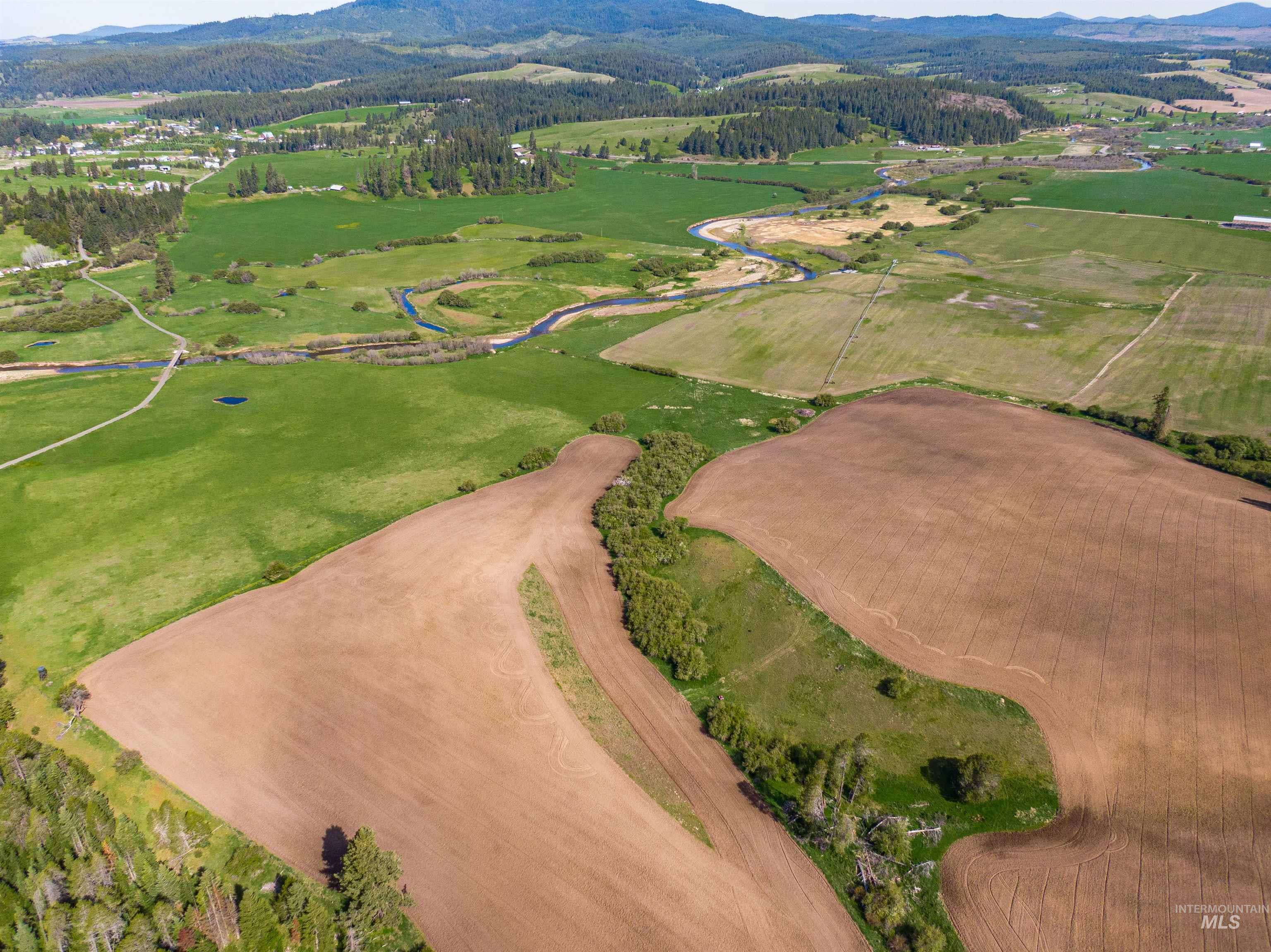 1101 Ruby Creek Road Harvard, ID 83834 - Photo 16 of 50