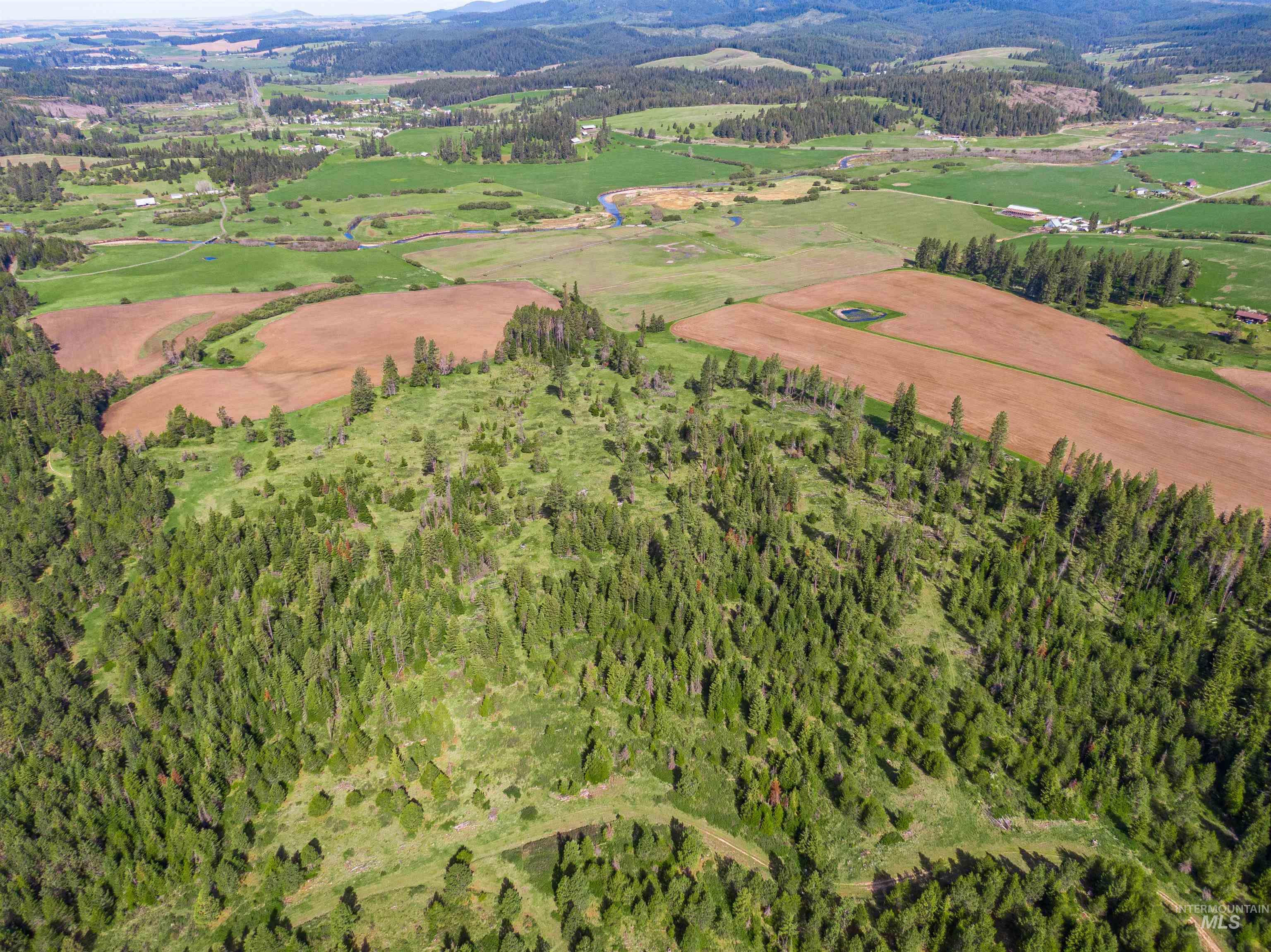 1101 Ruby Creek Road Harvard, ID 83834 - Photo 17 of 50