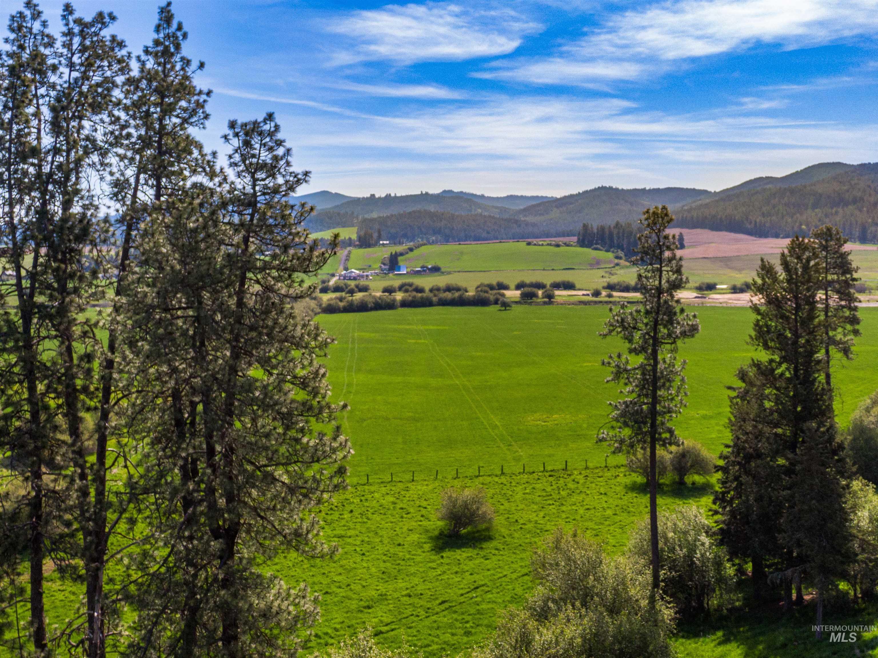 1101 Ruby Creek Road Harvard, ID 83834 - Photo 22 of 50