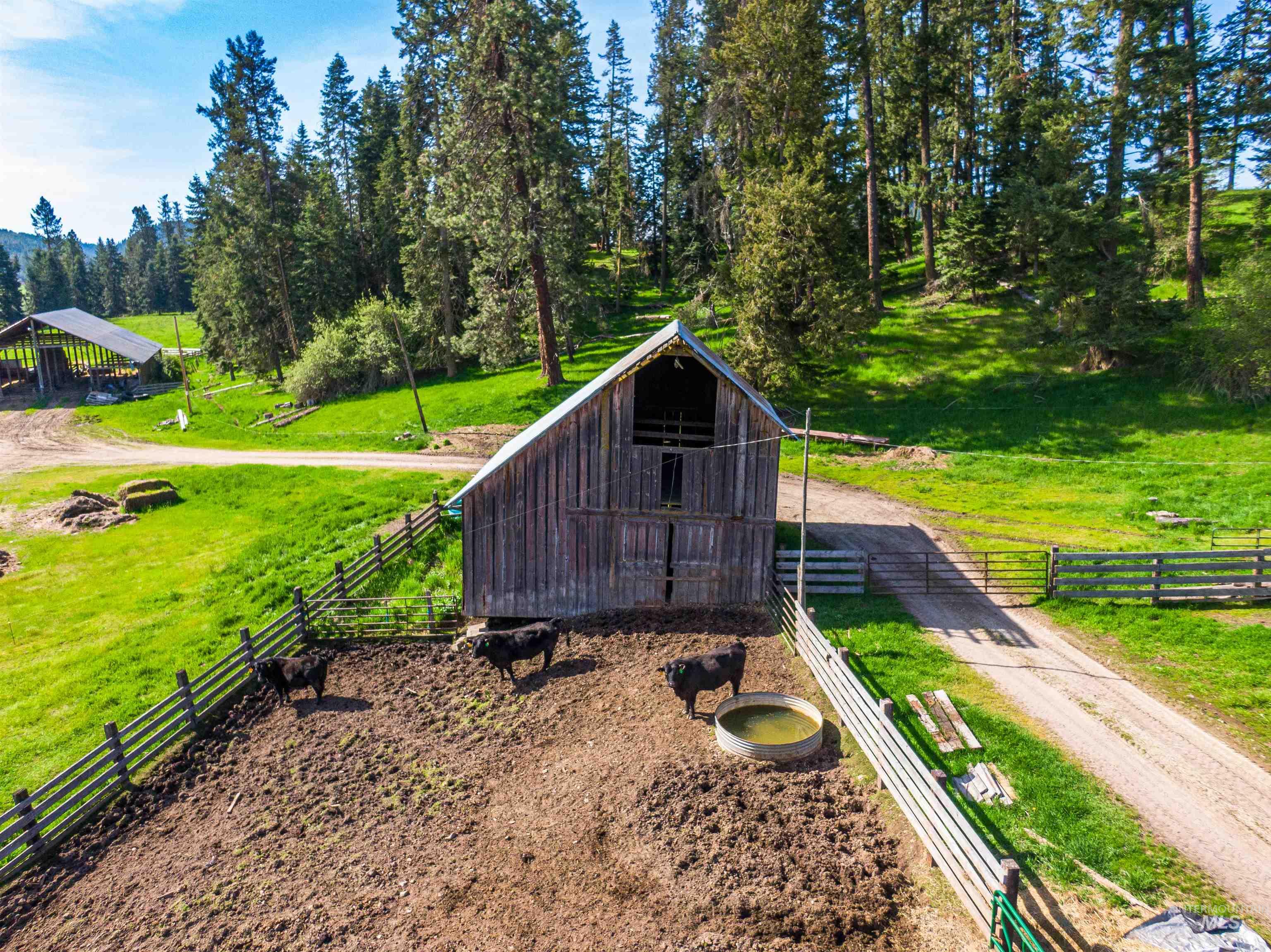 1101 Ruby Creek Road Harvard, ID 83834 - Photo 27 of 50