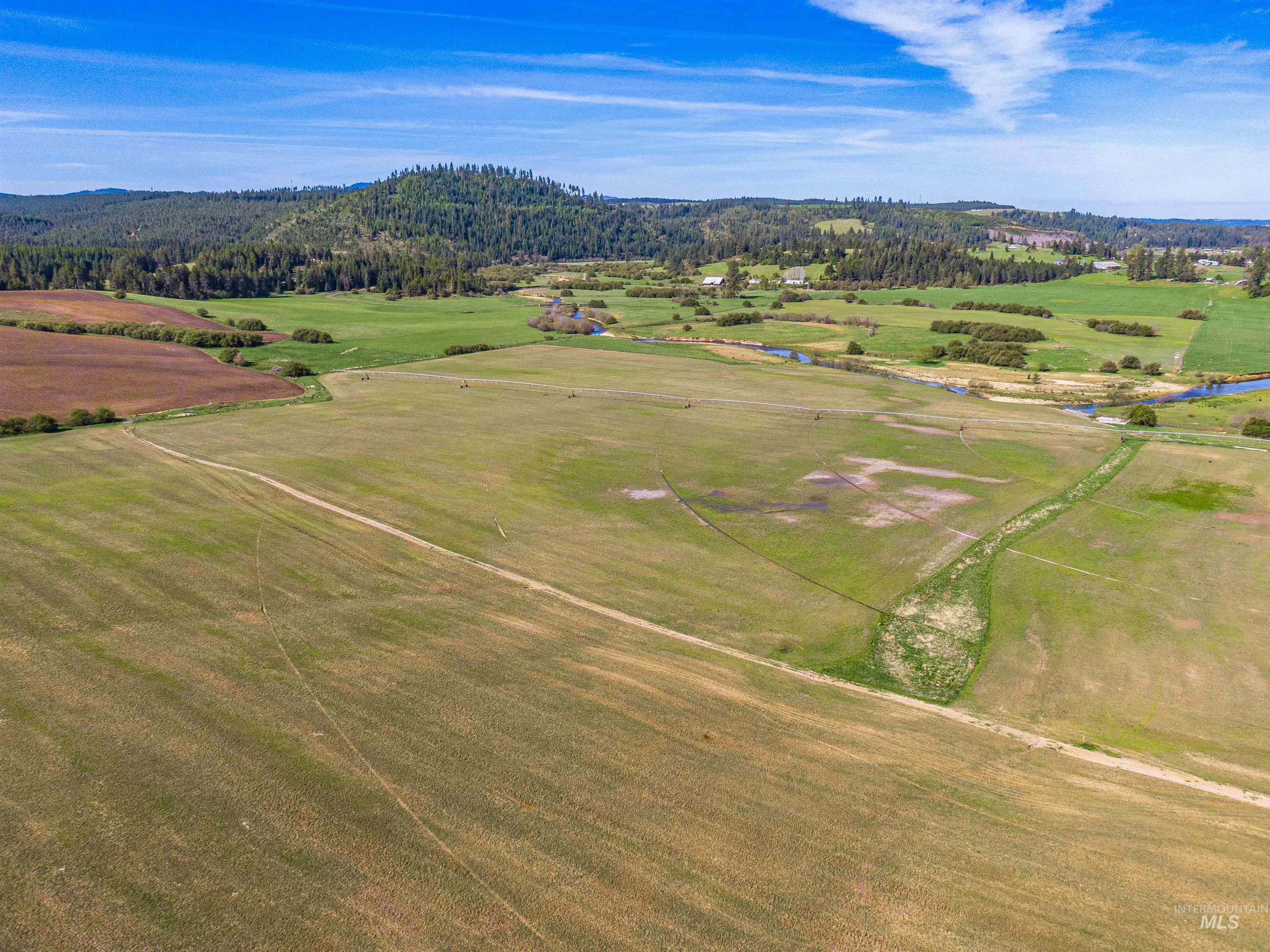 1101 Ruby Creek Road Harvard, ID 83834 - Photo 29 of 50
