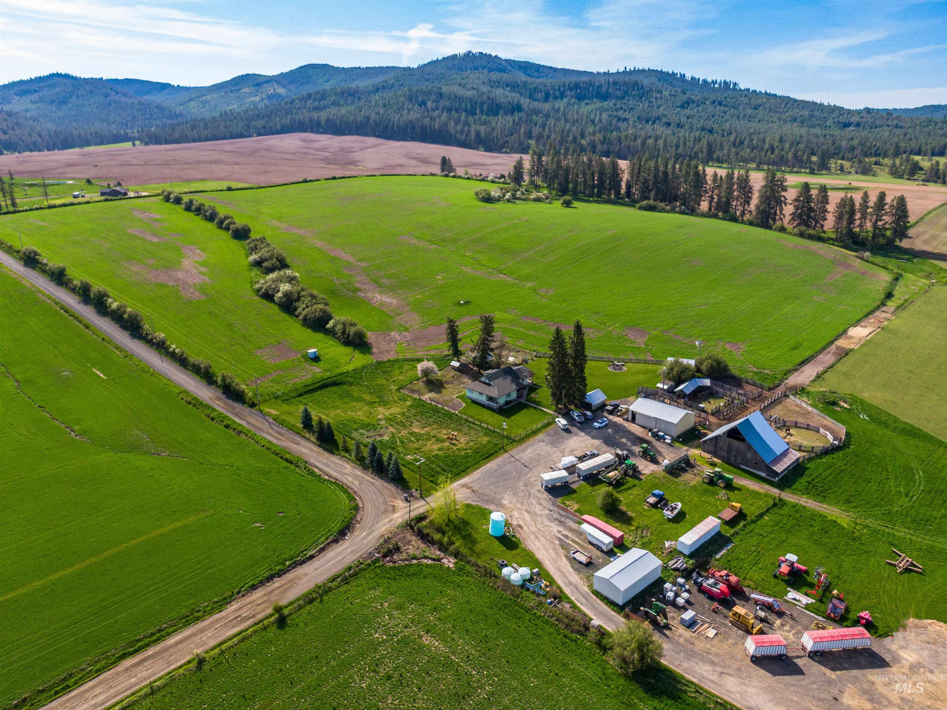 1101 Ruby Creek Road Harvard, ID 83834 - Photo 3 of 50