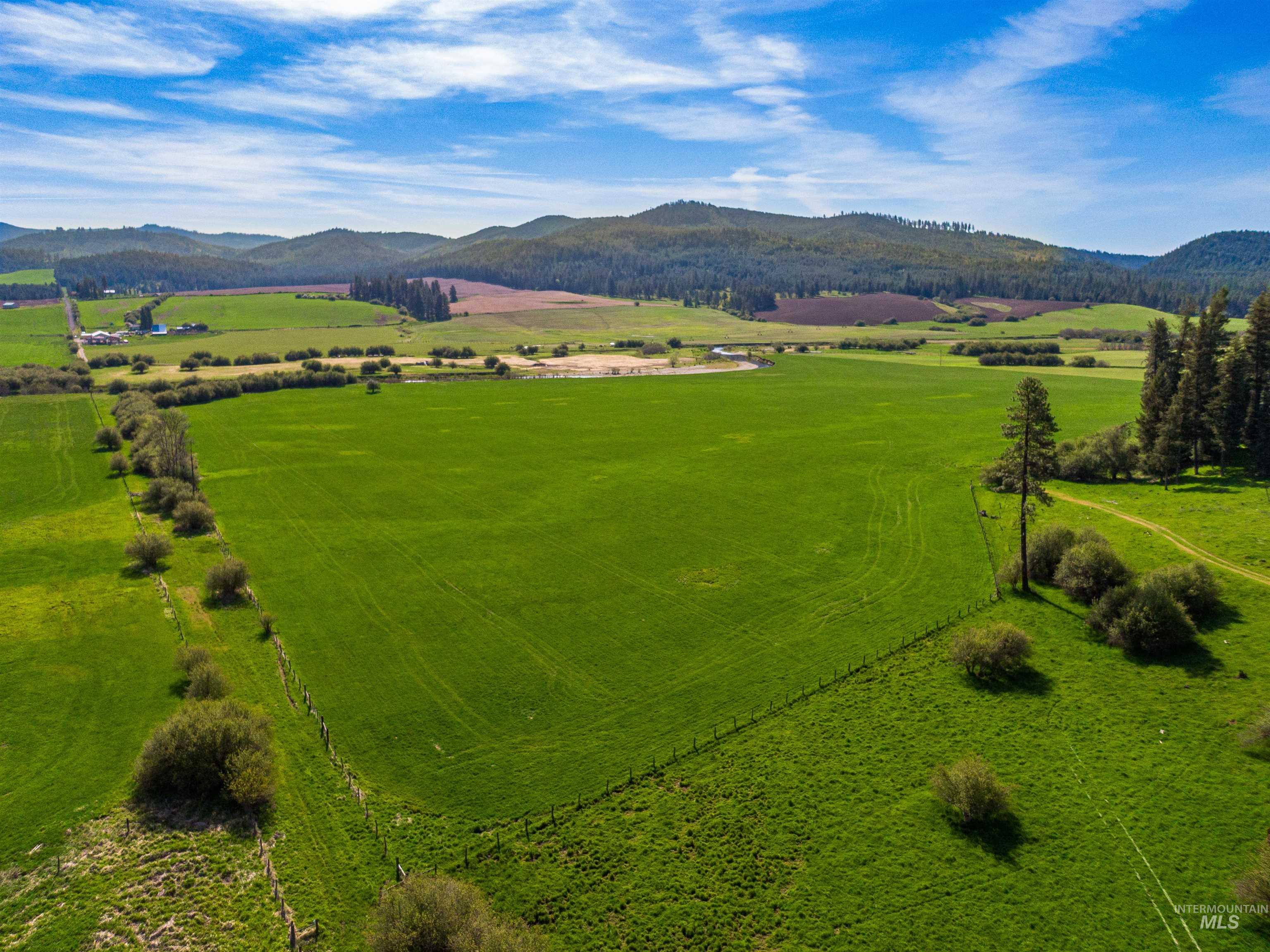 1101 Ruby Creek Road Harvard, ID 83834 - Photo 4 of 50