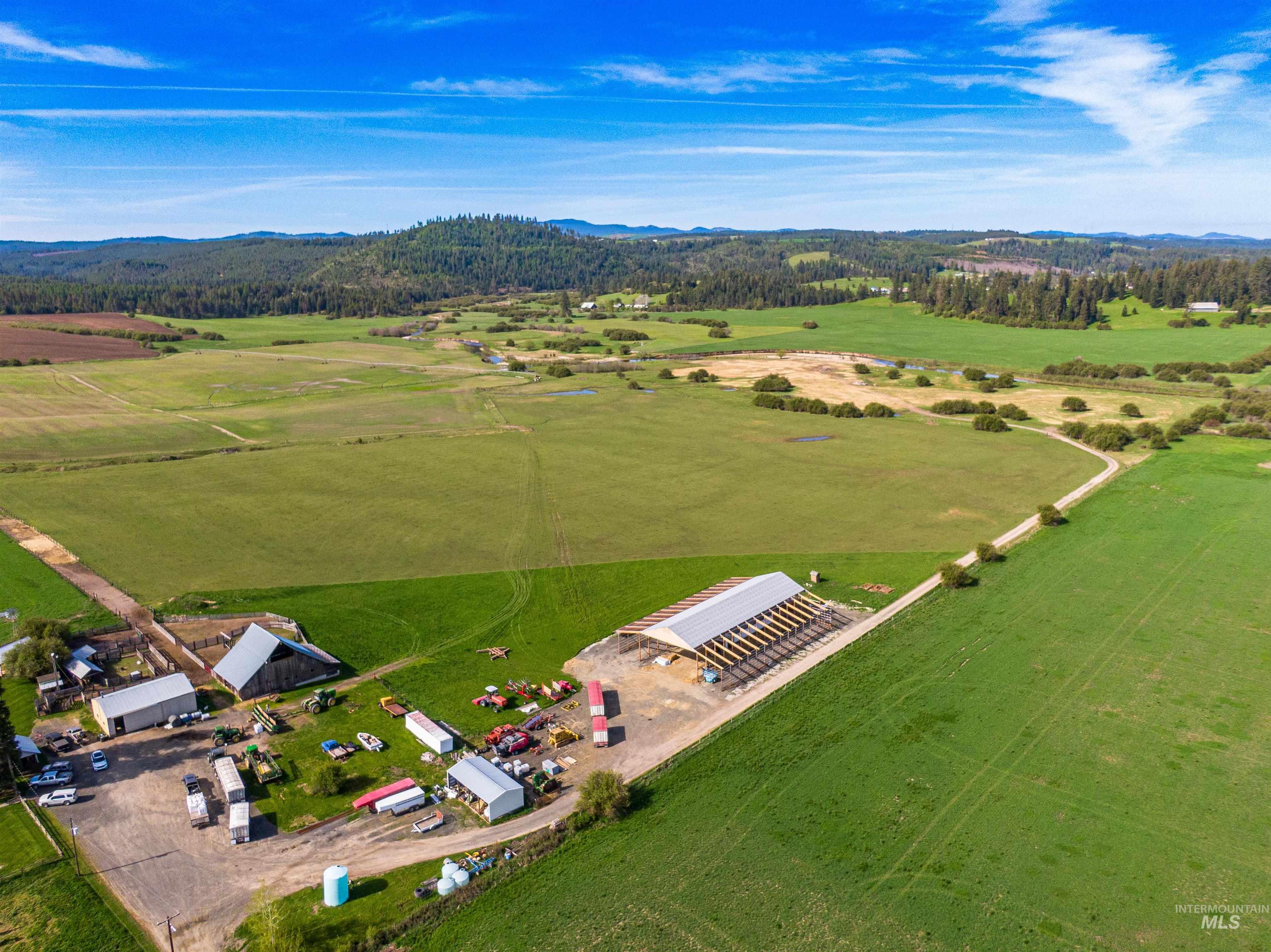 1101 Ruby Creek Road Harvard, ID 83834 - Photo 5 of 50