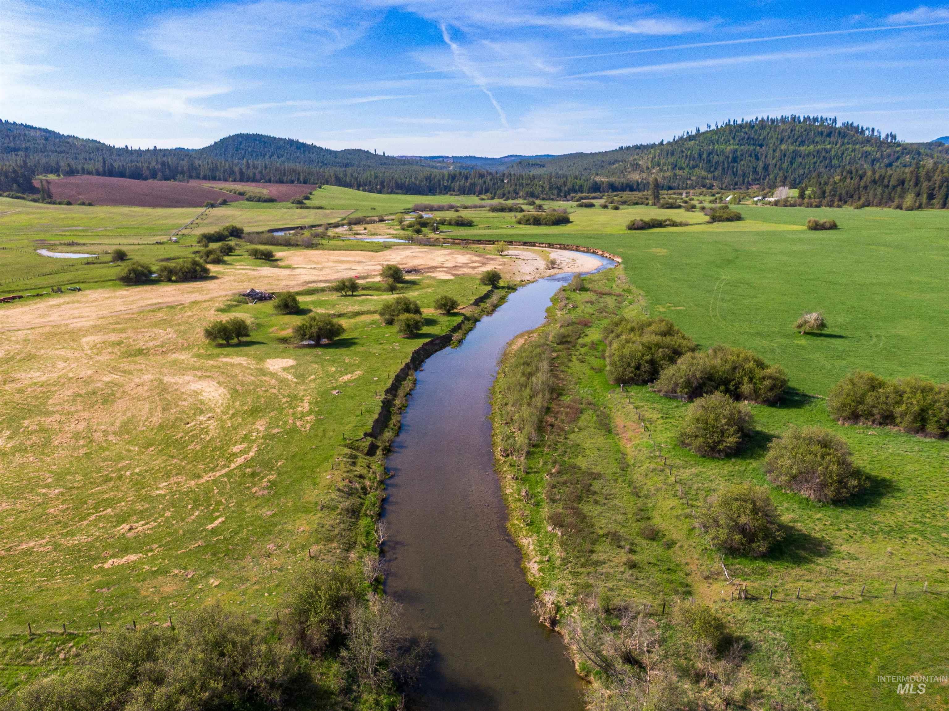 1101 Ruby Creek Road Harvard, ID 83834 - Photo 6 of 50