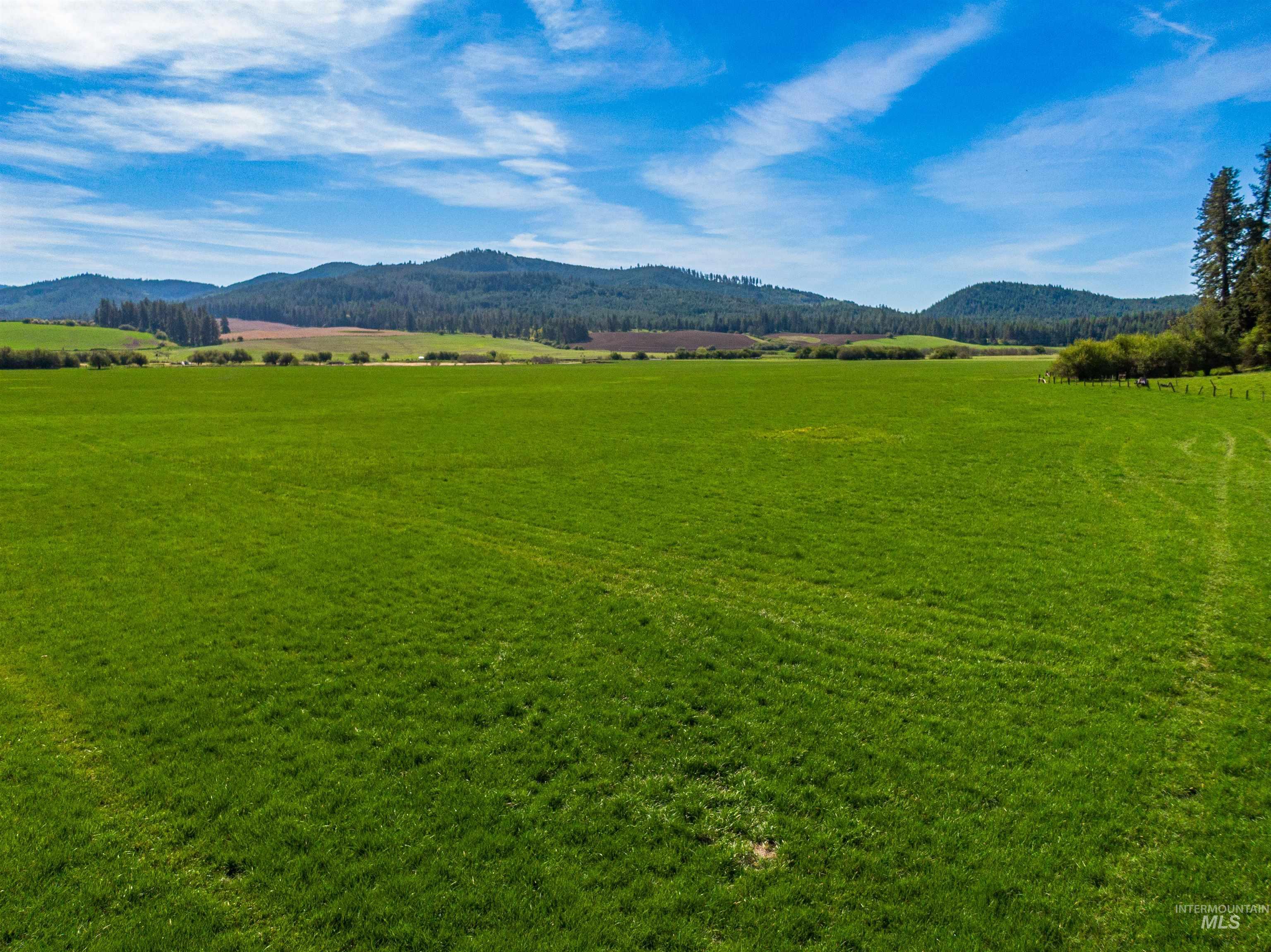 1101 Ruby Creek Road Harvard, ID 83834 - Photo 9 of 50
