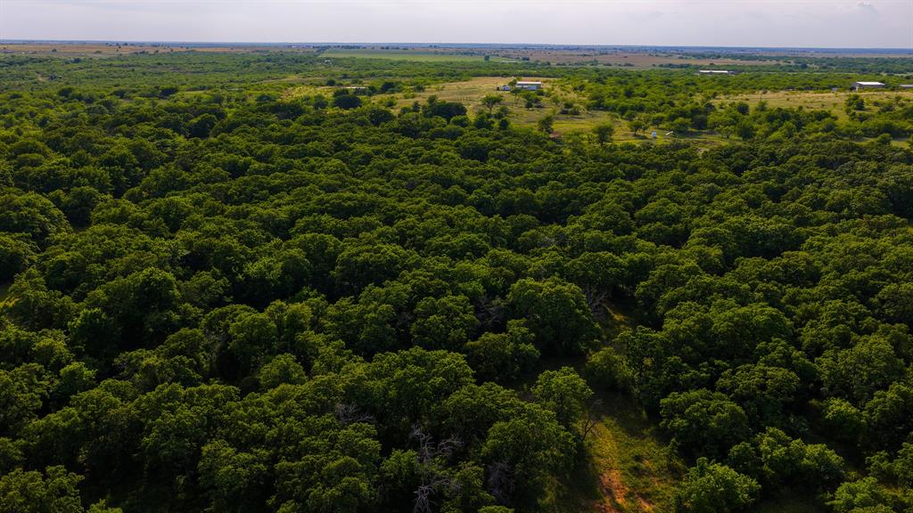 3641 Carpenter Road Nocona, TX 76255 - Photo 20 of 38