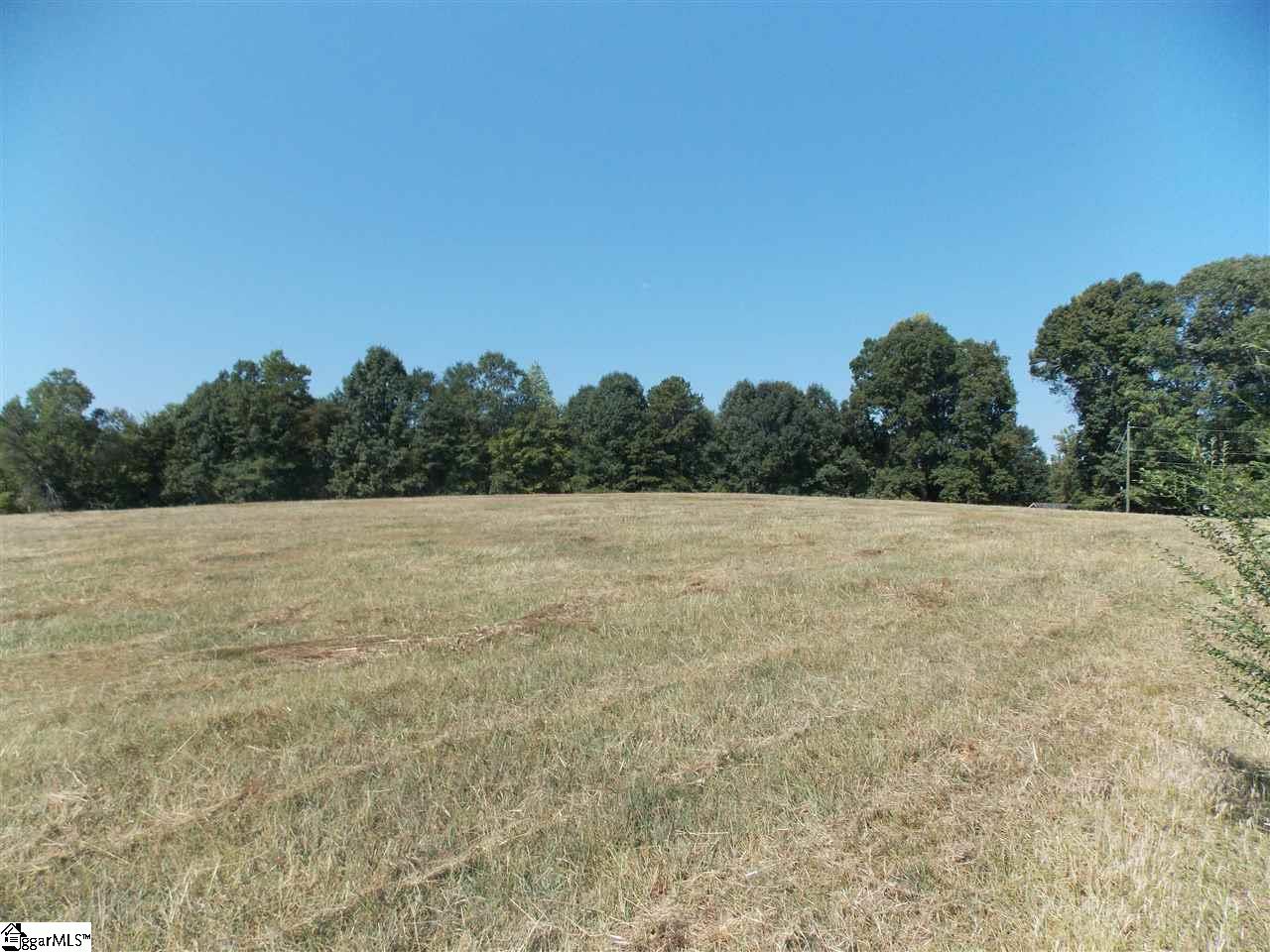 34310 Coster Road Travelers Rest, SC 29690 - Photo 9 of 11 Gallery Image 9