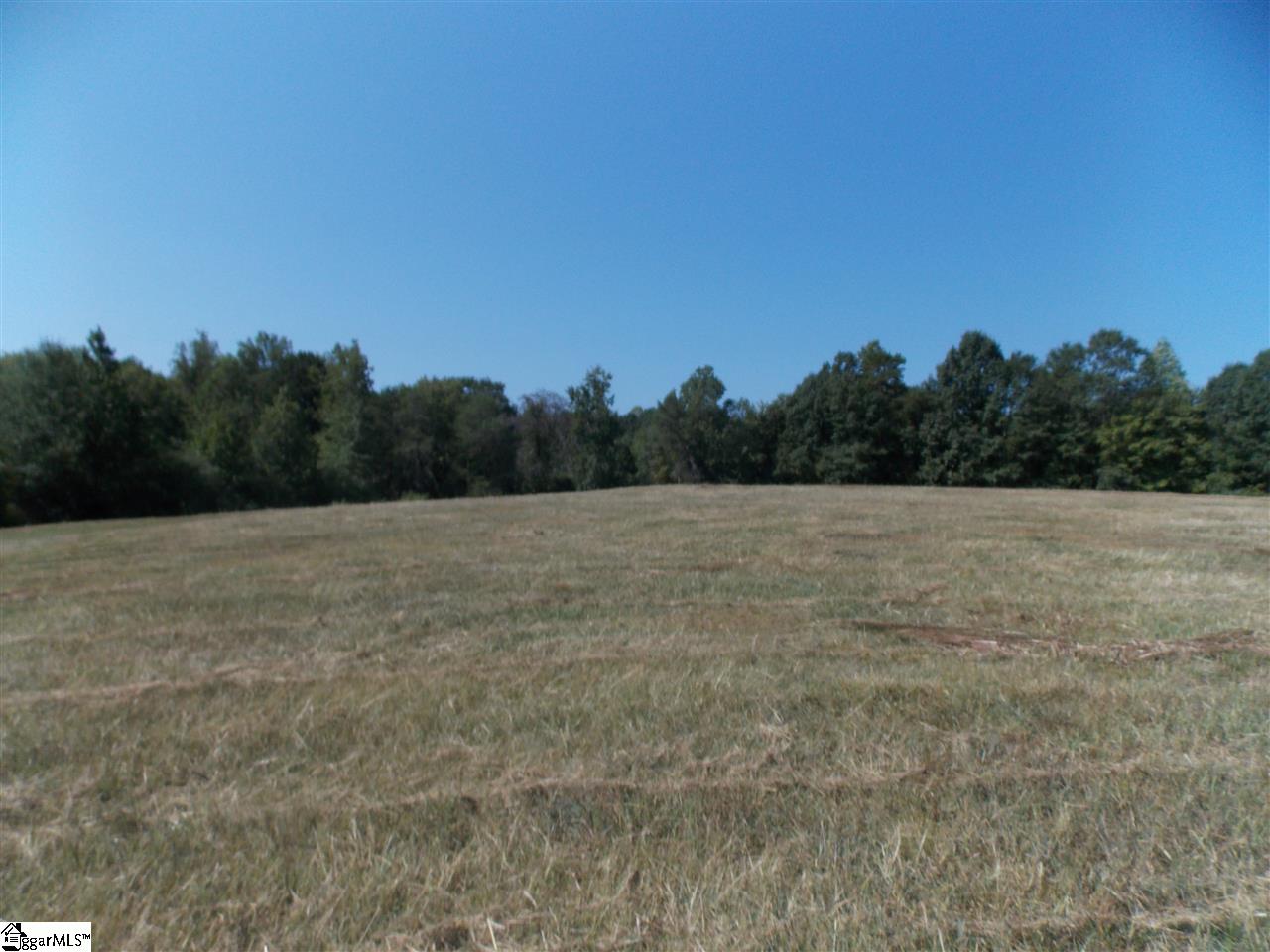34310 Coster Road Travelers Rest, SC 29690 - Photo 10 of 11 Gallery Image 10