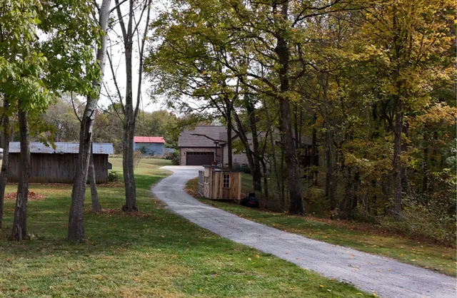 a backyard of a tree
