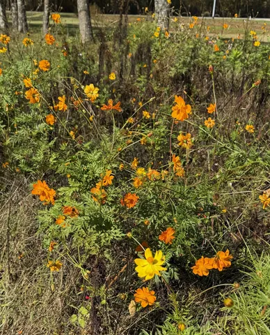 $839,000 | 737 Shun Pike, Cottontown, TN 37048