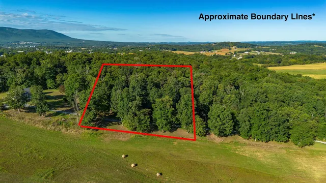 a view of a pathway with a yard