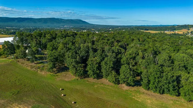 a view of a lush green forest with a lake