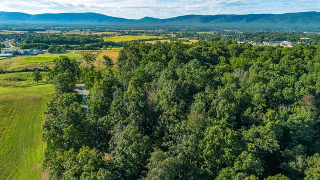 a view of a city with lush green forest