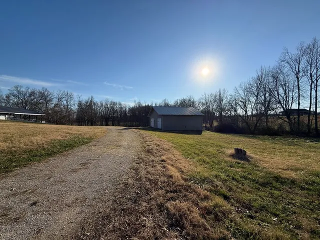a view of dirt yard with large trees