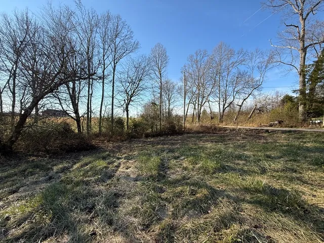 a view of dirt yard with a large tree