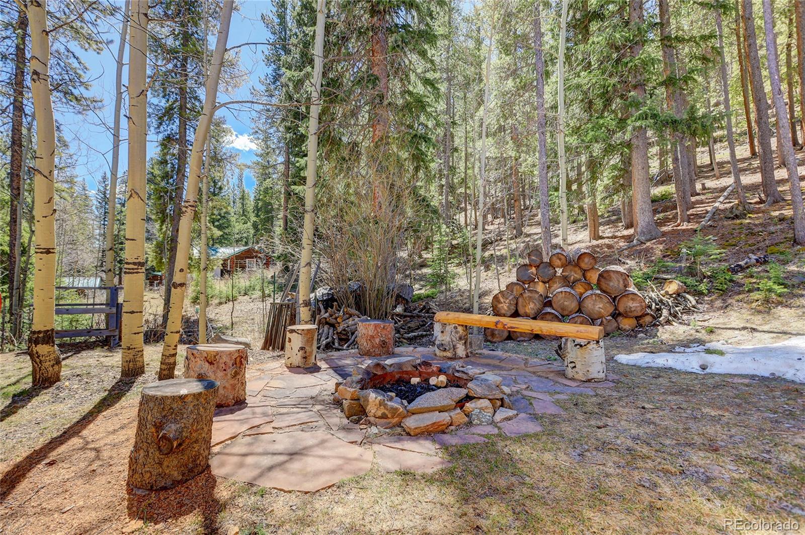 7721 County Road 43 Bailey, CO 80421 - Photo 12 of 49