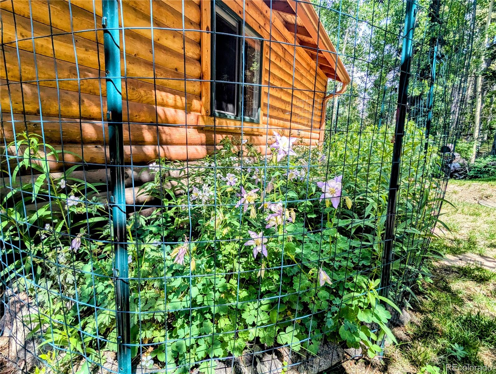 7721 County Road 43 Bailey, CO 80421 - Photo 13 of 49 a view of a house with a tree