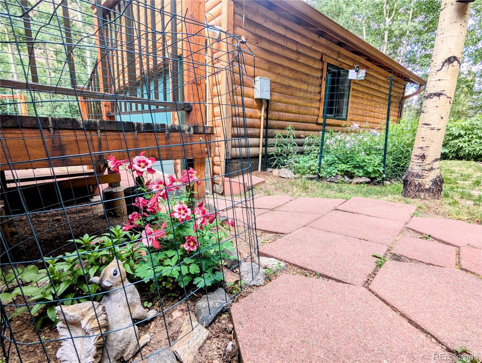 7721 County Road 43 Bailey, CO 80421 - Photo 14 of 49