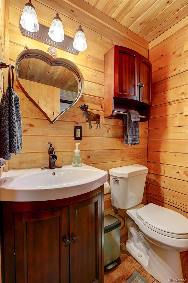 7721 County Road 43 Bailey, CO 80421 - Photo 38 of 49