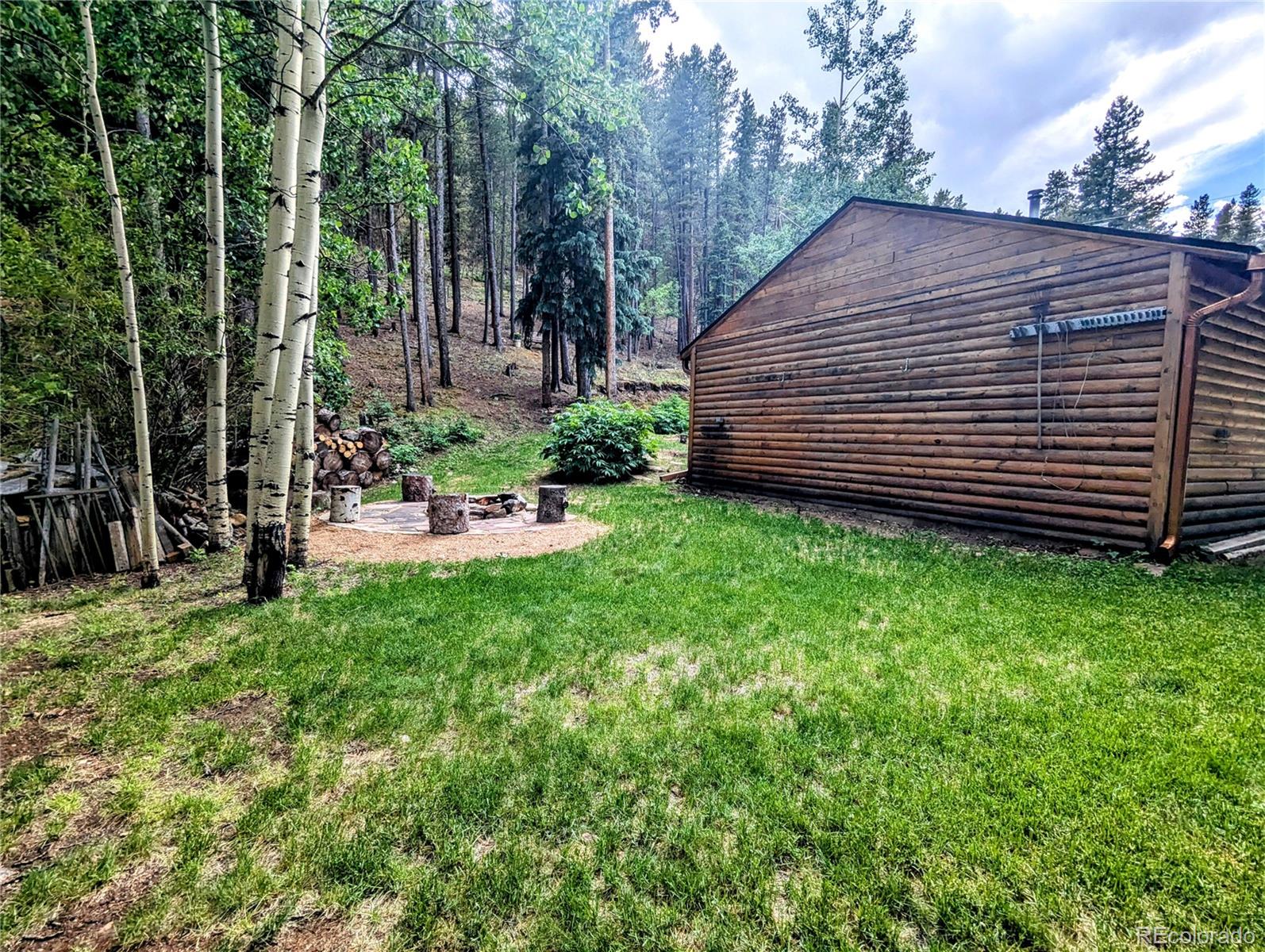 7721 County Road 43 Bailey, CO 80421 - Photo 43 of 49 a view of a backyard with plants and a garden