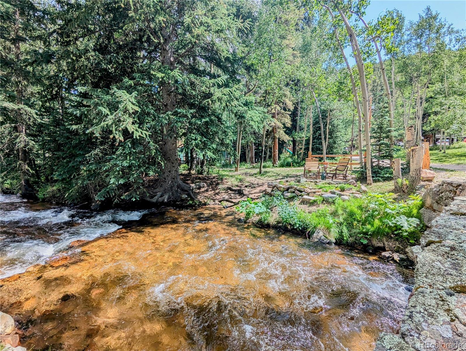 7721 County Road 43 Bailey, CO 80421 - Photo 5 of 49 a view of backyard with green space