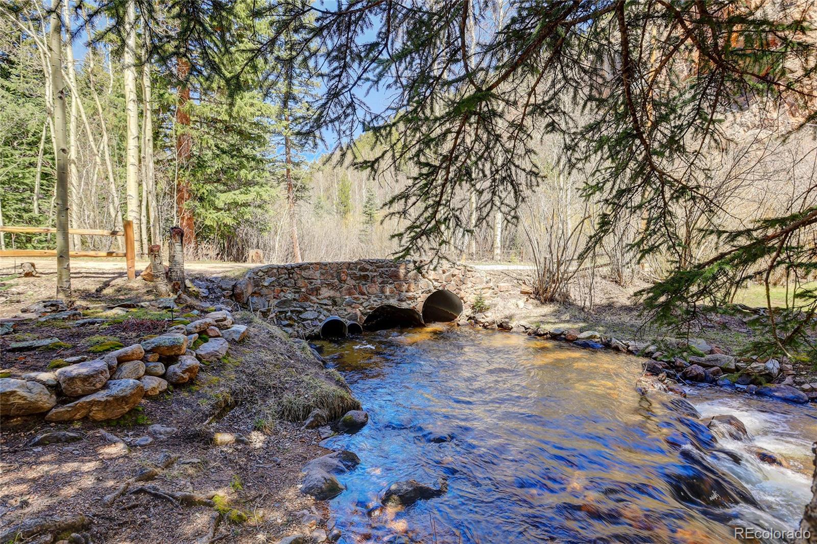 7721 County Road 43 Bailey, CO 80421 - Photo 9 of 49 a view of back yard