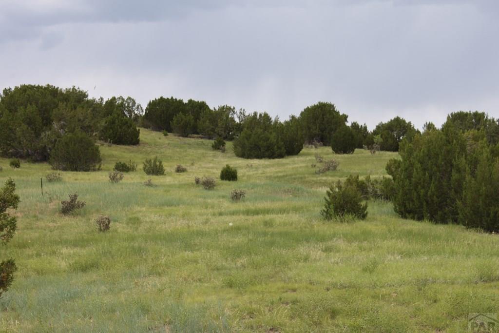 Tbd South Tbd S Waterbarrel Road Beulah, CO 81023 - Photo 16 of 21