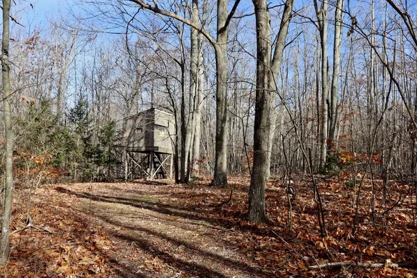 $339,000 | 6495 Jackson Avenue, Lake, MI 48632
