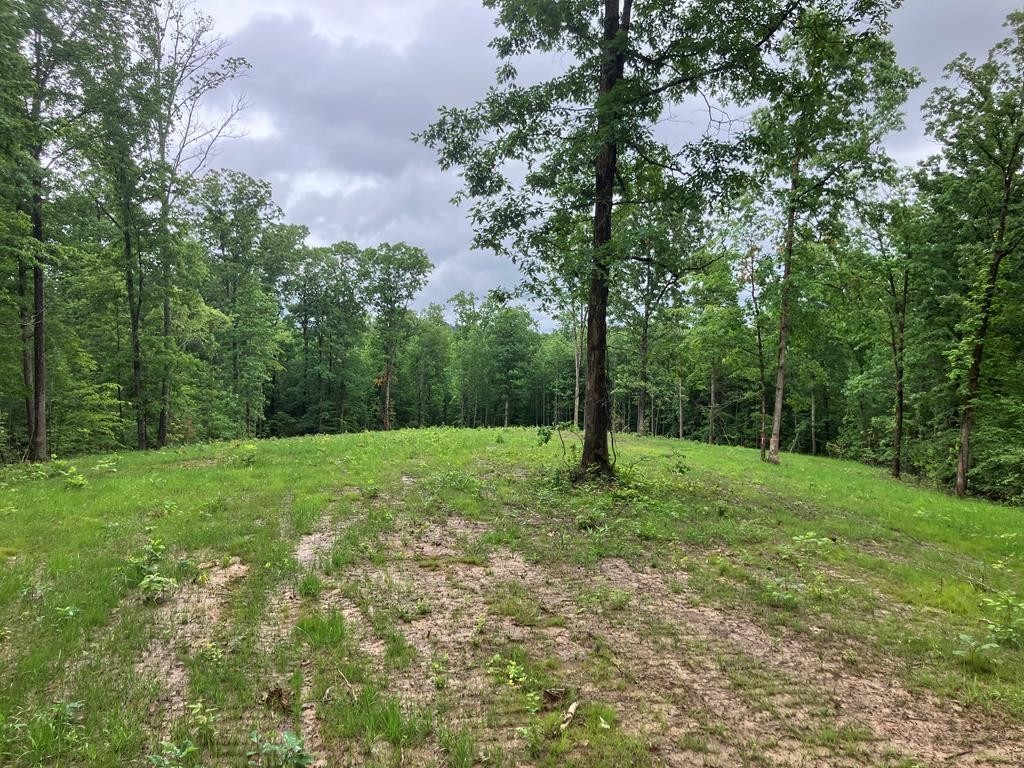 213 Wynn Ferry Road Big Sandy, TN 38221 - Photo 3 of 11