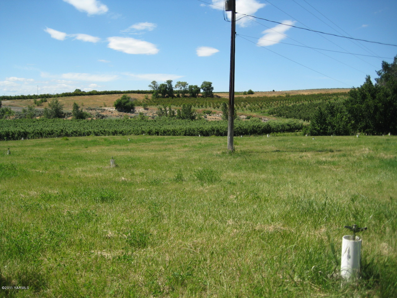 4572 Lombard Loop Road Zillah, WA 98953 - Photo 15 of 33 a view of a green field
