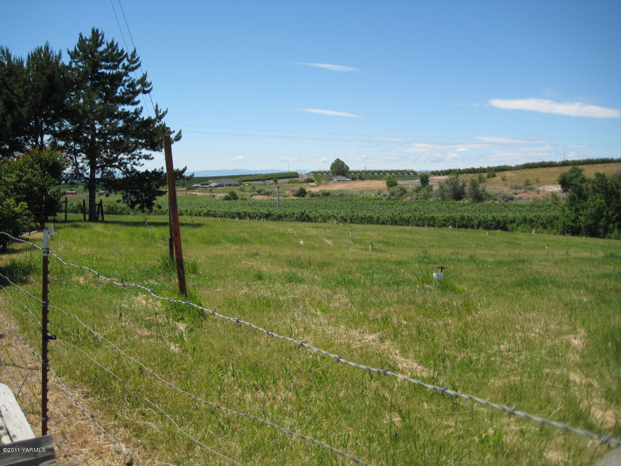 4572 Lombard Loop Road Zillah, WA 98953 - Photo 17 of 33 a view of a field with an trees