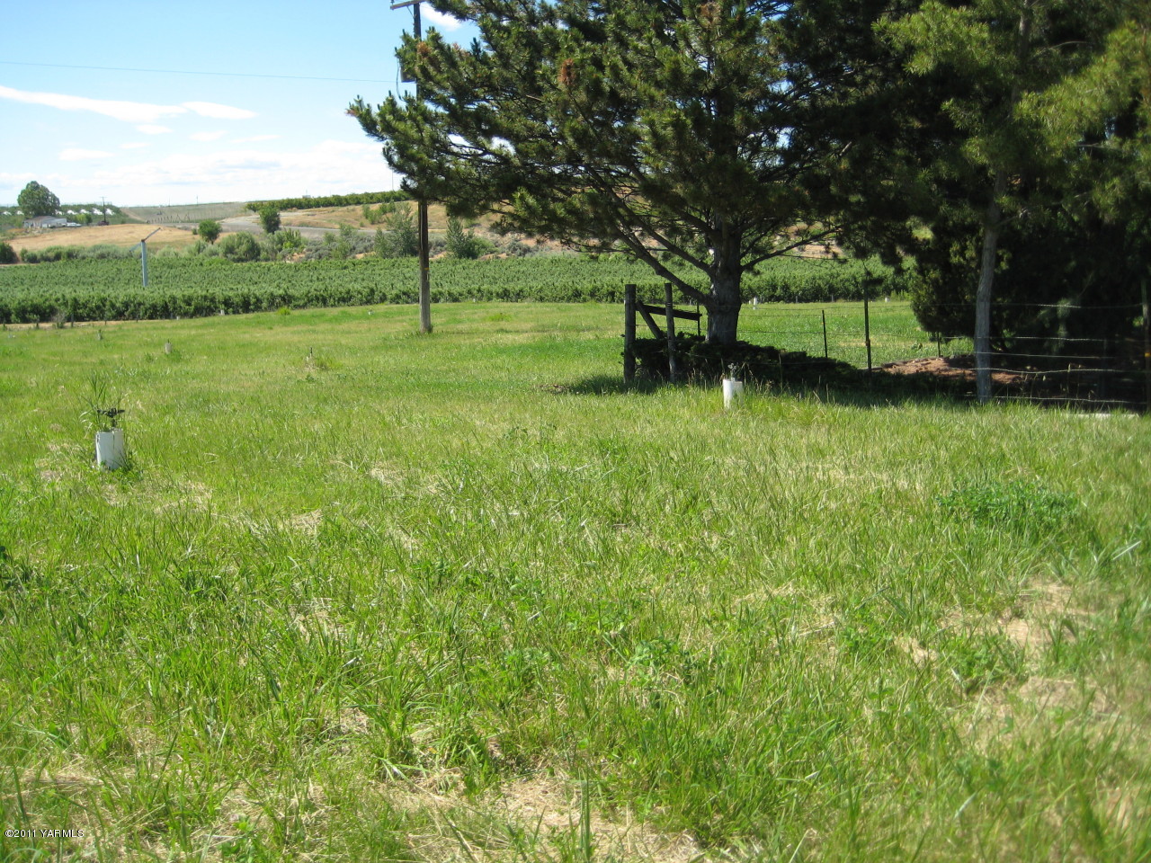 4572 Lombard Loop Road Zillah, WA 98953 - Photo 25 of 33 a view of outdoor space with deck and yard