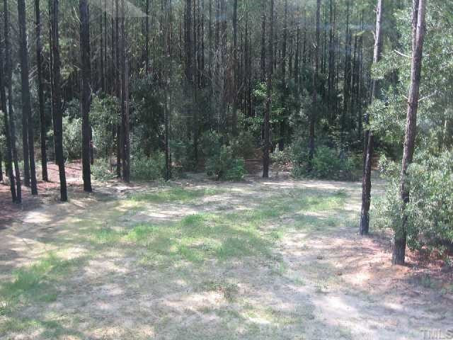 765 Massengill Pond Road Angier, NC 27501 - Photo 10 of 10 Back Yard