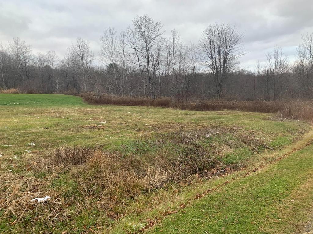 0 Phillips-Odell Road Mount Upton, NY 13809 - Photo 2 of 9