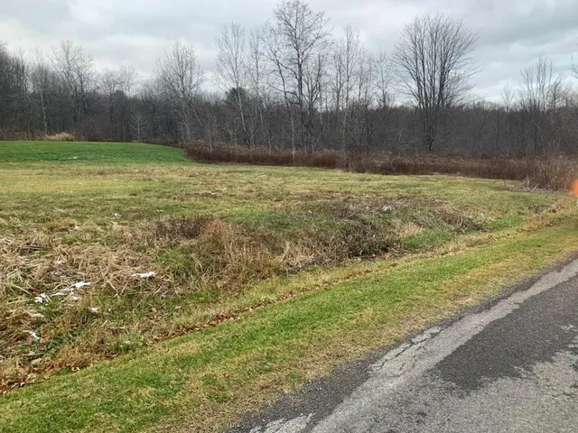 $140,000 | 0 Phillips-Odell Road, Mount Upton, NY 13809