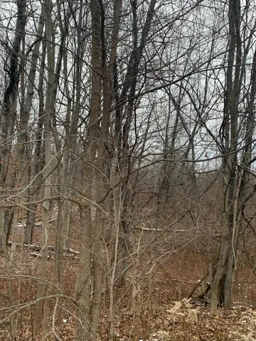 $140,000 | 0 Phillips-Odell Road, Mount Upton, NY 13809