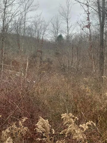 $140,000 | 0 Phillips-Odell Road, Mount Upton, NY 13809