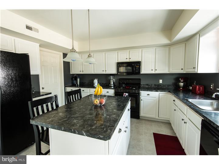 424 Longview Drive Sinking Spring, PA 19608 - Photo 2 of 24 Kitchen