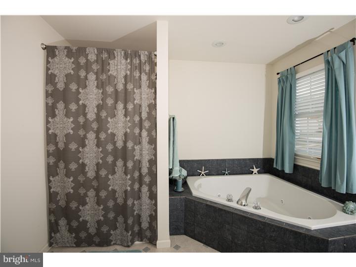 424 Longview Drive Sinking Spring, PA 19608 - Photo 14 of 24 Master Bathroom