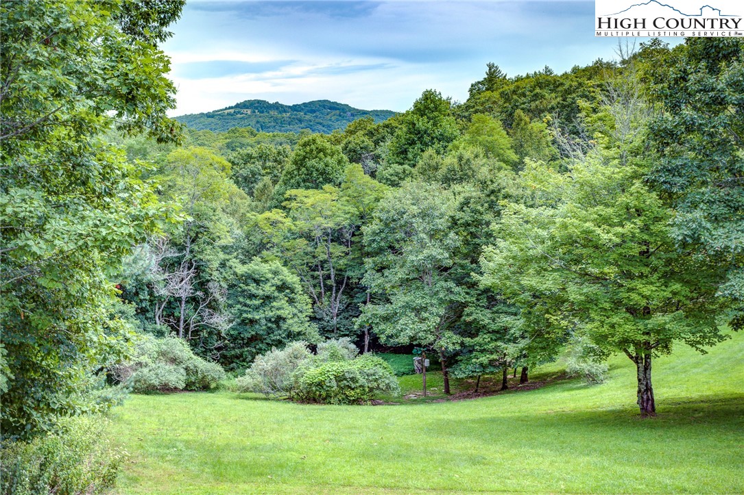 409 Blueberry Lane Boone, NC 28607 - Photo 26 of 35 Gallery Image 26