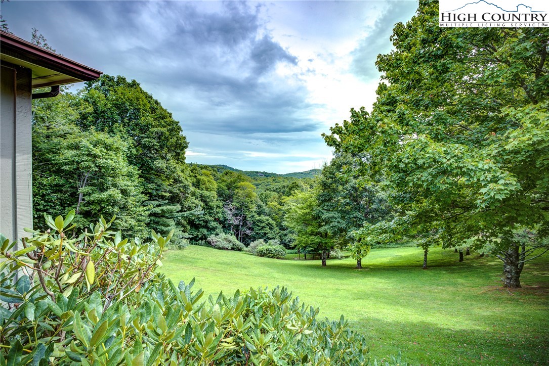 409 Blueberry Lane Boone, NC 28607 - Photo 4 of 35 Gallery Image 4