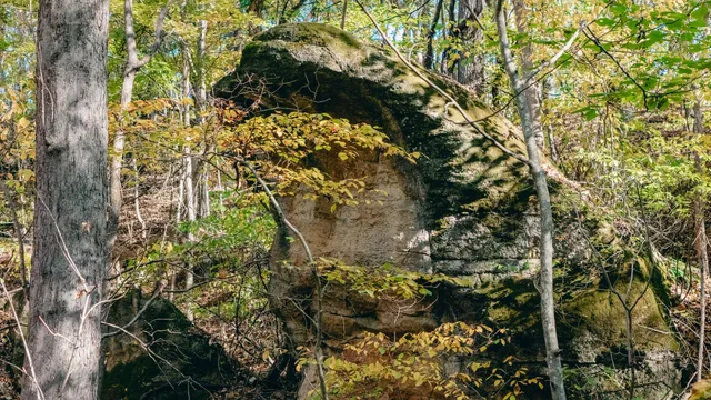 a map view of location