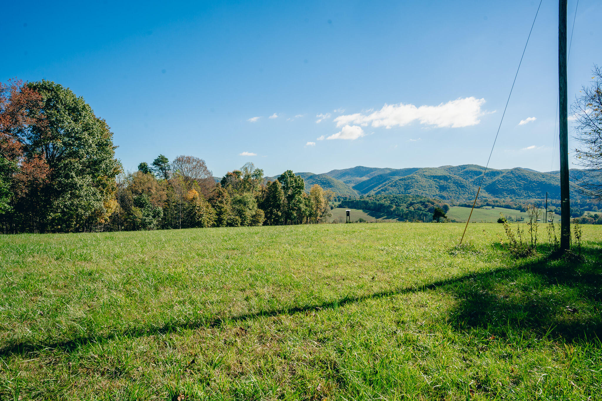 0 Betty Baker Road Hiwassee, VA 24347 - Photo 16 of 19 a view of an outdoor space and a yard