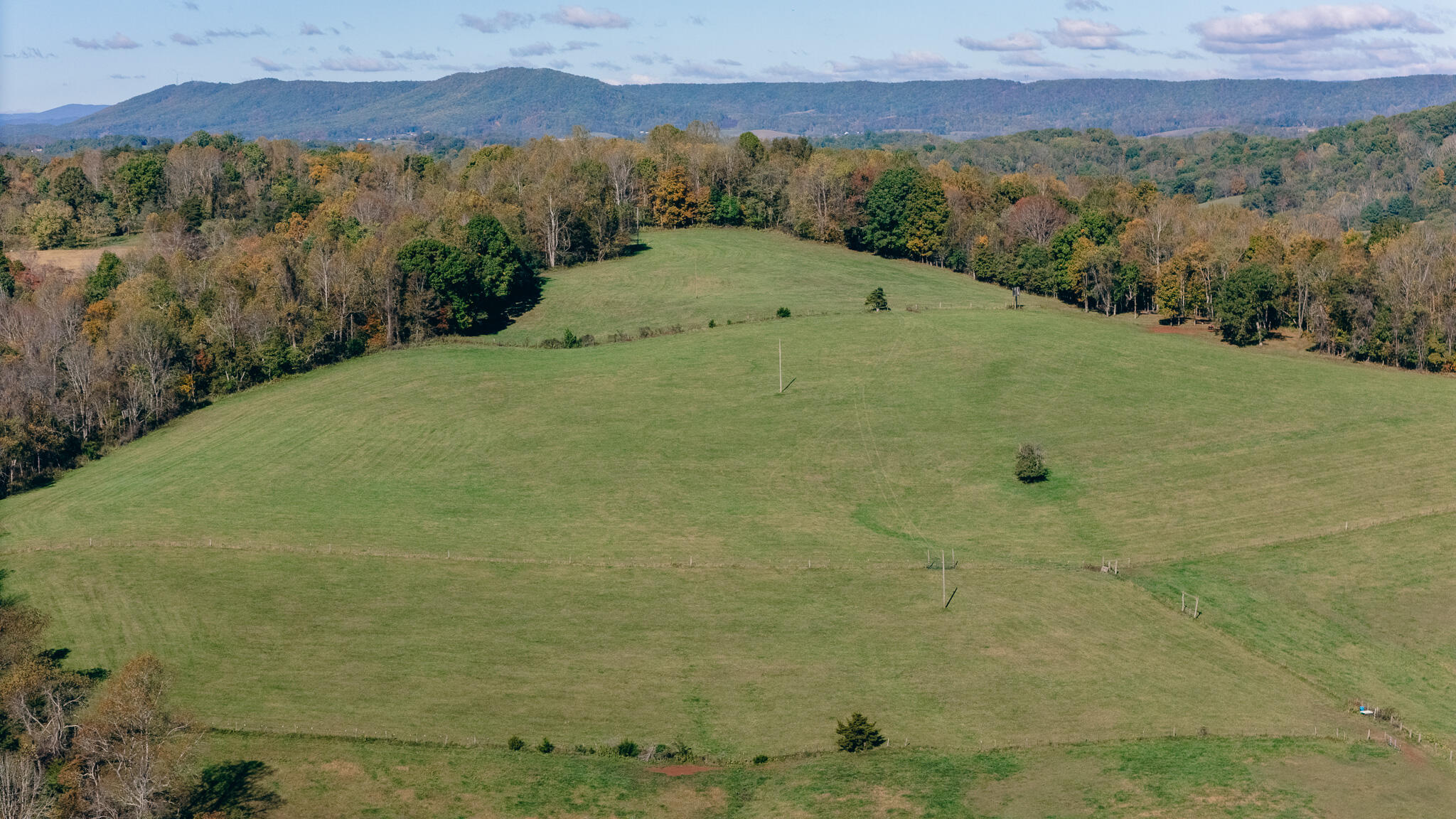 0 Betty Baker Road Hiwassee, VA 24347 - Photo 2 of 19